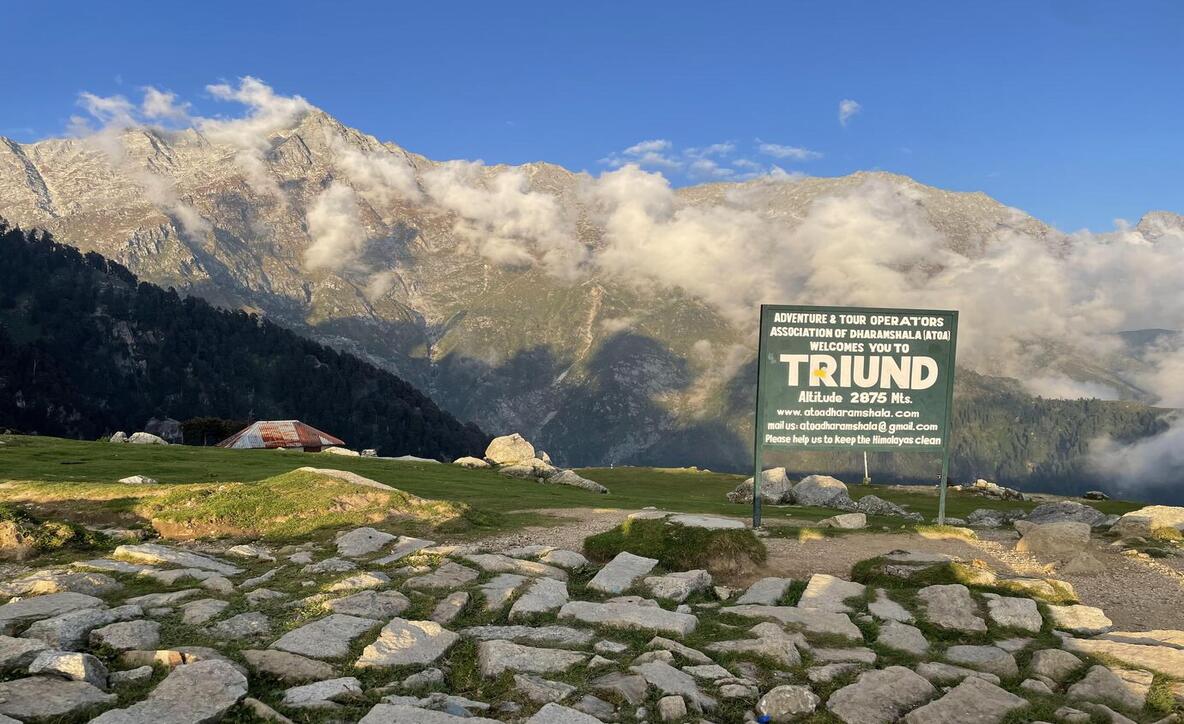 Triund Trek