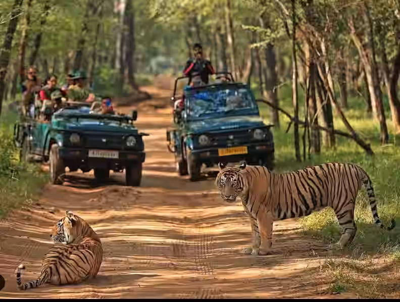 Jungle Safari in Corbett